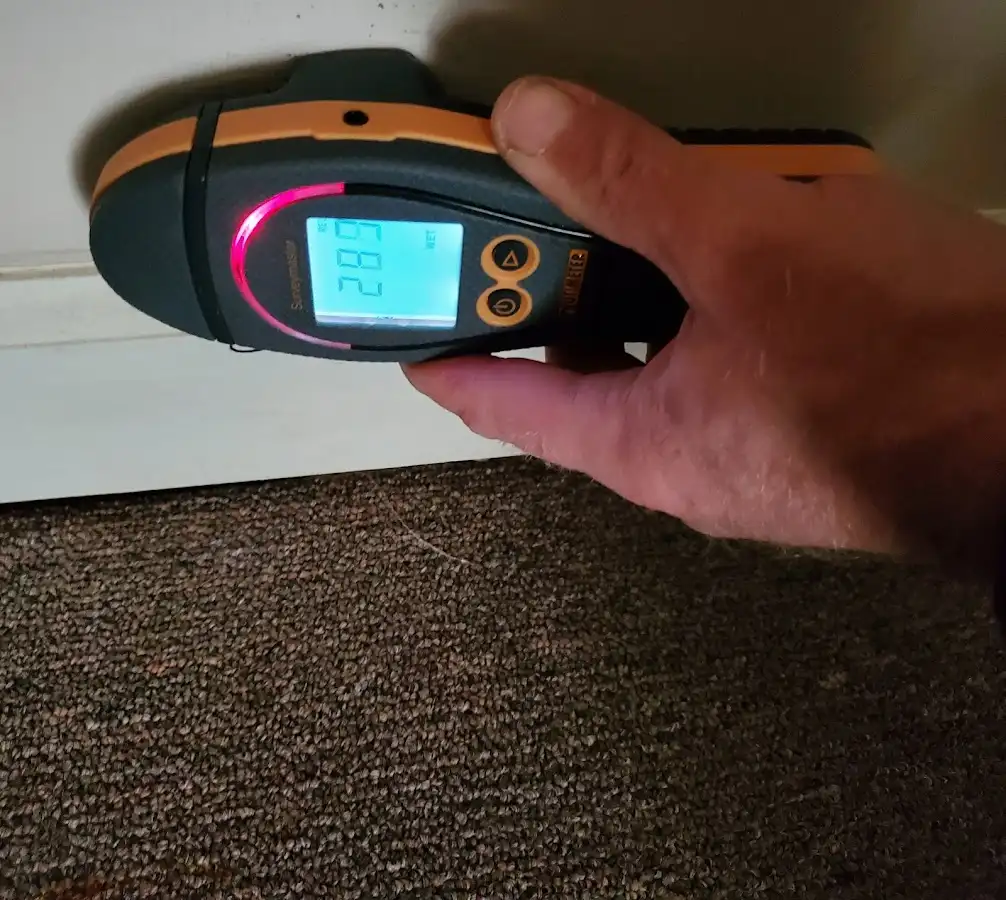Moisture detection at baseboard during Sewage Cleanup & Sanitation in Sylacauga